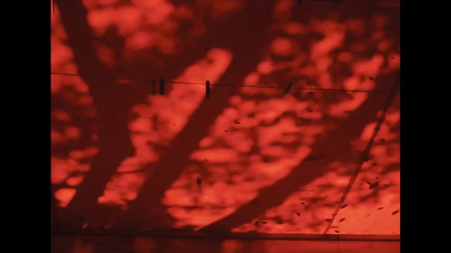 Close up of red Coca-Cola awning